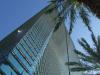 glass building in downtown Miami
